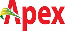 Apex Shoes